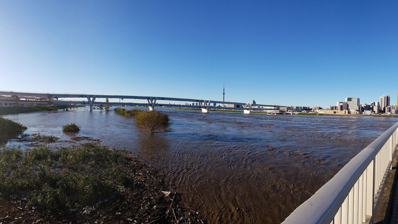 台風のあとで水かさが増した、荒川の広い川幅。遠くに橋と高層の建物が見える