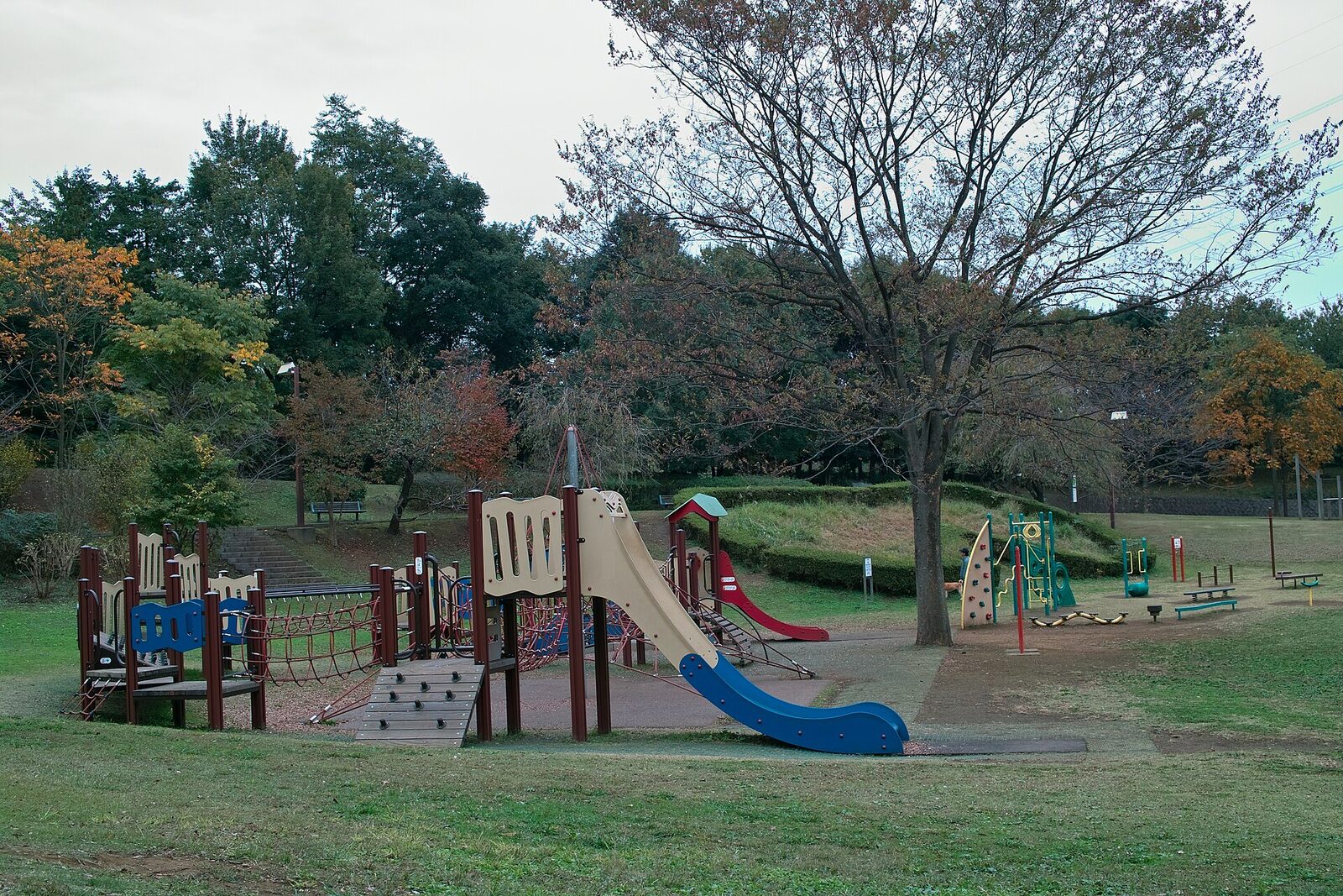 王禅寺ふるさと公園の遊具の広場。芝生の上に、すべり台のある複合遊具があり、奥に雑木林が見える。葉の落ちかけた木が立っている