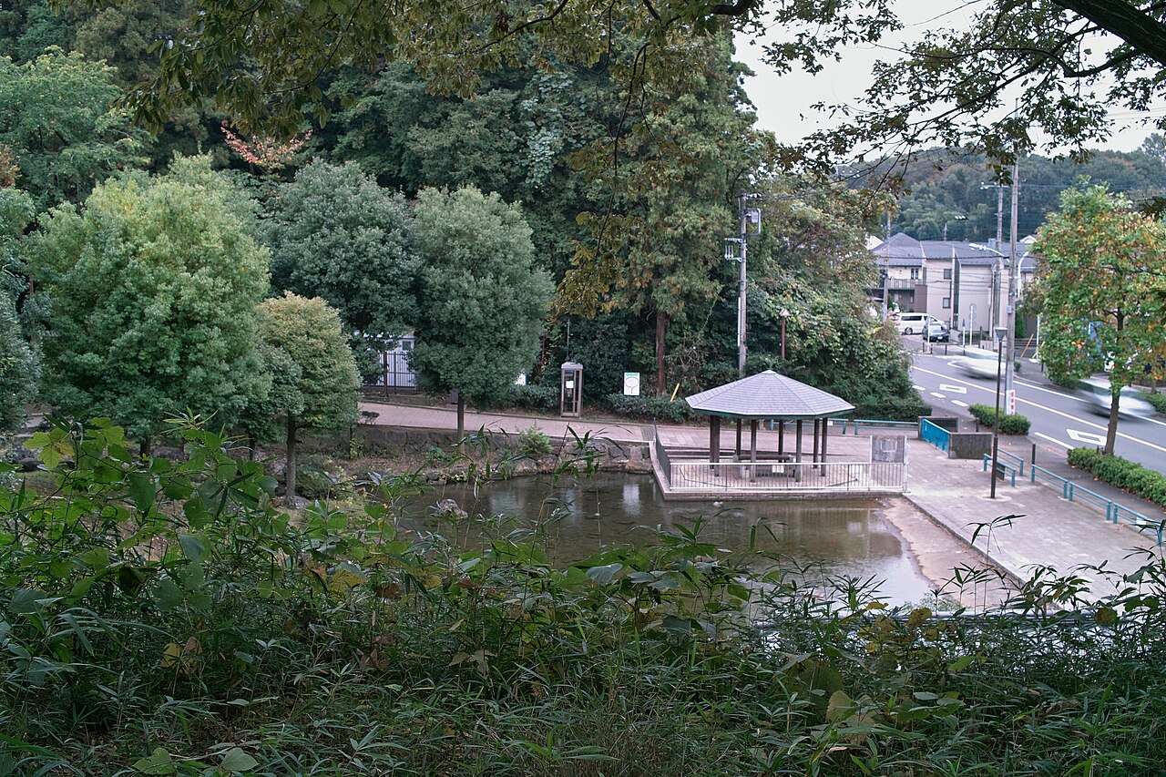 王禅寺ふるさと公園の池と東屋